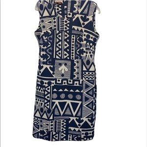 CHECKABERRY Vintage Blue Shift Dress Medium / Large